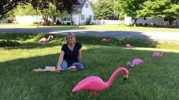 Free download Meditation: Happiness  Joy (part 1 of 3) video and edit with RedcoolMedia movie maker MovieStudio video editor online and AudioStudio audio editor onlin