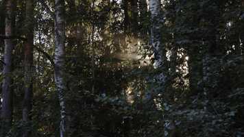 Free download Meet Eduardo video and edit with RedcoolMedia movie maker MovieStudio video editor online and AudioStudio audio editor onlin