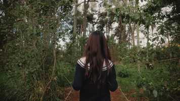 Free download Meet Lexie video and edit with RedcoolMedia movie maker MovieStudio video editor online and AudioStudio audio editor onlin