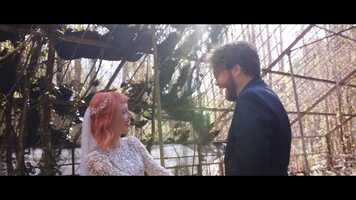 Free download Megan and Dan video and edit with RedcoolMedia movie maker MovieStudio video editor online and AudioStudio audio editor onlin