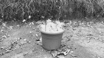 Free download Mein Film 2.MOV video and edit with RedcoolMedia movie maker MovieStudio video editor online and AudioStudio audio editor onlin