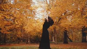 Free download Melina Hassani - Autumn dreams video and edit with RedcoolMedia movie maker MovieStudio video editor online and AudioStudio audio editor onlin