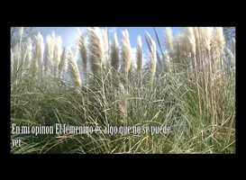 Free download MELODY WEITZ MORANDINI IPA video and edit with RedcoolMedia movie maker MovieStudio video editor online and AudioStudio audio editor onlin