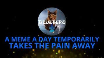 Free download MEME-CAST 1 video and edit with RedcoolMedia movie maker MovieStudio video editor online and AudioStudio audio editor onlin