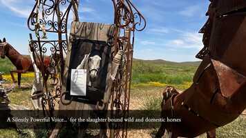 Free download Memorial Fence Labor Day 2021 Clean-up video and edit with RedcoolMedia movie maker MovieStudio video editor online and AudioStudio audio editor onlin