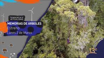 Free download Memorias de rboles. Trailer Promocional 13c. video and edit with RedcoolMedia movie maker MovieStudio video editor online and AudioStudio audio editor onlin