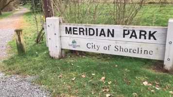 Free download Meridian Park Horror Film video and edit with RedcoolMedia movie maker MovieStudio video editor online and AudioStudio audio editor onlin