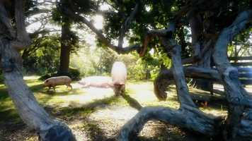 Free download Metals Direct, Inc. Three Pigs Contractor Program video and edit with RedcoolMedia movie maker MovieStudio video editor online and AudioStudio audio editor onlin