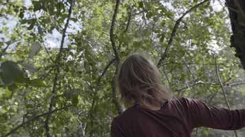 Free download MEUNITED Trailer video and edit with RedcoolMedia movie maker MovieStudio video editor online and AudioStudio audio editor onlin