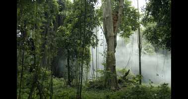 Free download Mga Anak ng Lawa Trailer video and edit with RedcoolMedia movie maker MovieStudio video editor online and AudioStudio audio editor onlin