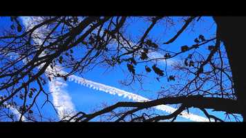 Free download Michaela Ustorf - Trailer video and edit with RedcoolMedia movie maker MovieStudio video editor online and AudioStudio audio editor onlin