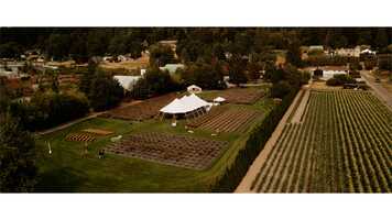 Free download Michelle + Brad Highlight Film video and edit with RedcoolMedia movie maker MovieStudio video editor online and AudioStudio audio editor onlin