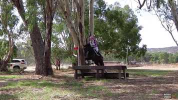 Free download Michelle Cosgrove riding Murray River Spring Melody 170 EvA80 WAYER International Horse Trials 2019 video and edit with RedcoolMedia movie maker MovieStudio video editor online and AudioStudio audio editor onlin