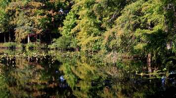 Free download Microdacism on Meditation video and edit with RedcoolMedia movie maker MovieStudio video editor online and AudioStudio audio editor onlin