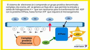 Free download Microogranismos-Azufre video and edit with RedcoolMedia movie maker MovieStudio video editor online and AudioStudio audio editor onlin