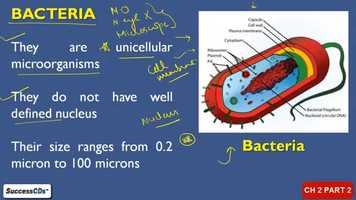 Free download micro organism-2 video and edit with RedcoolMedia movie maker MovieStudio video editor online and AudioStudio audio editor onlin