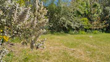 Free download MicroWorld trailer video and edit with RedcoolMedia movie maker MovieStudio video editor online and AudioStudio audio editor onlin