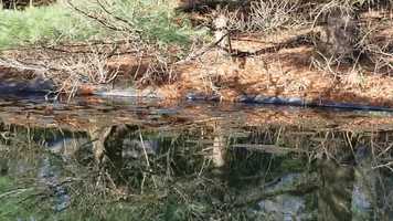 Free download Middle School - Mrs. Eileen Science Queen Ep.1 Watersheds video and edit with RedcoolMedia movie maker MovieStudio video editor online and AudioStudio audio editor onlin