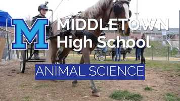 Free download MIDDLETOWN AGRICULTURE ANIMAL SCIENCE video and edit with RedcoolMedia movie maker MovieStudio video editor online and AudioStudio audio editor onlin
