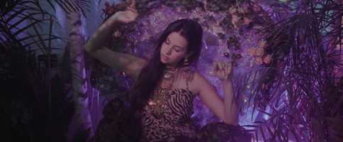 Free download Miel Animal - Directors Cut video and edit with RedcoolMedia movie maker MovieStudio video editor online and AudioStudio audio editor onlin