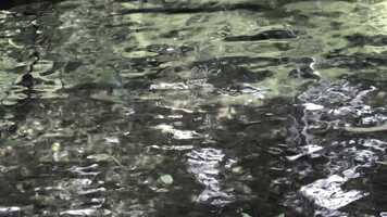 Free download mikanohara video and edit with RedcoolMedia movie maker MovieStudio video editor online and AudioStudio audio editor onlin