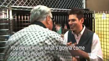 Free download Mike Hammer Las Vegas video and edit with RedcoolMedia movie maker MovieStudio video editor online and AudioStudio audio editor onlin