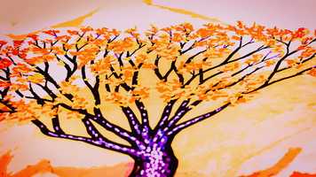 Free download Mike Houston Reel 2020 video and edit with RedcoolMedia movie maker MovieStudio video editor online and AudioStudio audio editor onlin