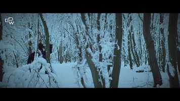 Free download MIKKEL VERDE- Essenza Di Wills - Directors cut video and edit with RedcoolMedia movie maker MovieStudio video editor online and AudioStudio audio editor onlin