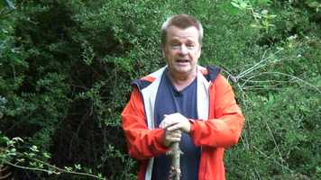 Free download Miles Memories Mum video and edit with RedcoolMedia movie maker MovieStudio video editor online and AudioStudio audio editor onlin