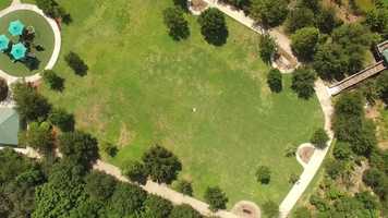 Free download Millennial video and edit with RedcoolMedia movie maker MovieStudio video editor online and AudioStudio audio editor onlin