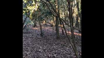 Free download Mind Games - Video composition by Marcos Oliveira. Music: John Lenon video and edit with RedcoolMedia movie maker MovieStudio video editor online and AudioStudio audio editor onlin