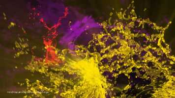 Free download Mindmap Promo and Education advert video and edit with RedcoolMedia movie maker MovieStudio video editor online and AudioStudio audio editor onlin