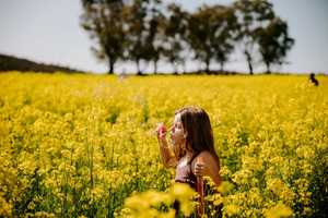 Free download Mini Keepsake Film - Canola video and edit with RedcoolMedia movie maker MovieStudio video editor online and AudioStudio audio editor onlin