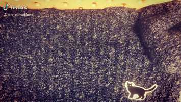 Free download Mini Kitty Creeping video and edit with RedcoolMedia movie maker MovieStudio video editor online and AudioStudio audio editor onlin