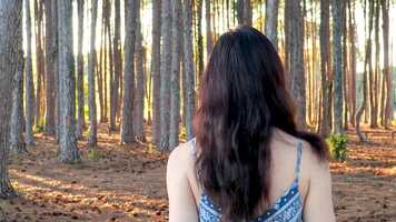 Free download Mirror Maze video and edit with RedcoolMedia movie maker MovieStudio video editor online and AudioStudio audio editor onlin