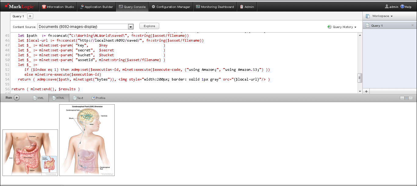 Download web tool or web app ML.NET