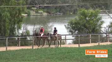 Free download MMR Yearling Education. Warren Sutton video and edit with RedcoolMedia movie maker MovieStudio video editor online and AudioStudio audio editor onlin