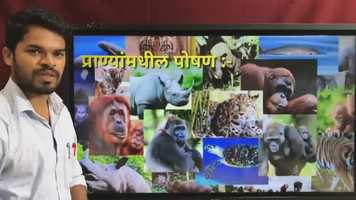 Free download MM_STD 7_SCIENCE_CH 4 SAJIVANTIL POSHAN_PART 2 video and edit with RedcoolMedia movie maker MovieStudio video editor online and AudioStudio audio editor onlin