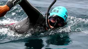 Free download Moana Waiwai - Film Trailer video and edit with RedcoolMedia movie maker MovieStudio video editor online and AudioStudio audio editor onlin