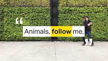 Free download Moatboat :: Animals Chase Me video and edit with RedcoolMedia movie maker MovieStudio video editor online and AudioStudio audio editor onlin