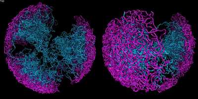 Free download Model of compartment dynamics through mitosis and G1. video and edit with RedcoolMedia movie maker MovieStudio video editor online and AudioStudio audio editor onlin