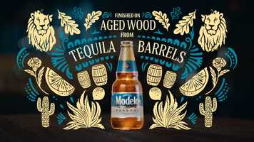 Free download Modelo Turn video and edit with RedcoolMedia movie maker MovieStudio video editor online and AudioStudio audio editor onlin