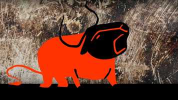 Free download Module 5.1 video and edit with RedcoolMedia movie maker MovieStudio video editor online and AudioStudio audio editor onlin