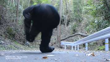 Free download MOGAKU.006／Ogurisu street video and edit with RedcoolMedia movie maker MovieStudio video editor online and AudioStudio audio editor onlin