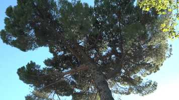 Free download MOKARTE video and edit with RedcoolMedia movie maker MovieStudio video editor online and AudioStudio audio editor onlin