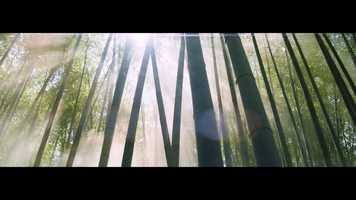 Free download MOLESKINE - M is for Movers - DC video and edit with RedcoolMedia movie maker MovieStudio video editor online and AudioStudio audio editor onlin