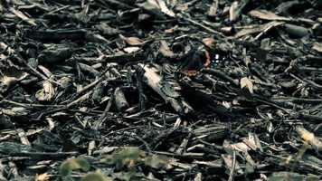 Free download Moments Lost video and edit with RedcoolMedia movie maker MovieStudio video editor online and AudioStudio audio editor onlin