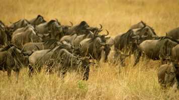 Free download Moments of Wonder - The Beginning video and edit with RedcoolMedia movie maker MovieStudio video editor online and AudioStudio audio editor onlin