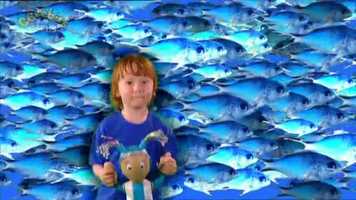 Free download Mo mo theme song video and edit with RedcoolMedia movie maker MovieStudio video editor online and AudioStudio audio editor onlin