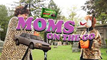 Free download Moms on the Go: Halloween video and edit with RedcoolMedia movie maker MovieStudio video editor online and AudioStudio audio editor onlin
